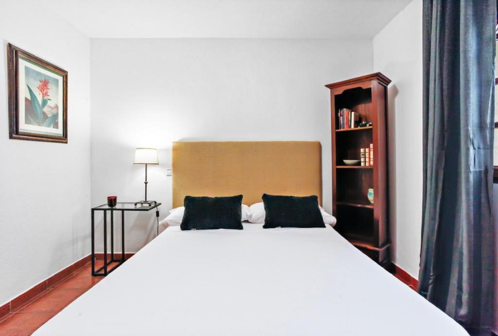 Villa Aventura Parque Holandes エクステリア 写真